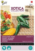 Mexicaanse peper Jalapeño M – Xotica Collection