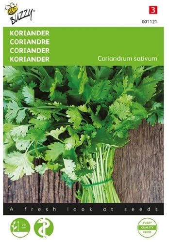 Koriander grootzadig – Coriandrum sativum