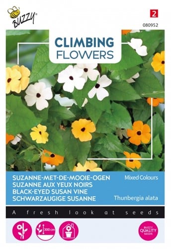 Suzanne met de mooie ogen Kleuren mengsel - Climbing Flowers