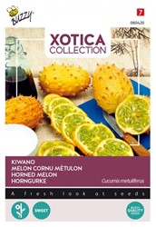 Kiwano / Hoornkomkommer - Xotica Collection