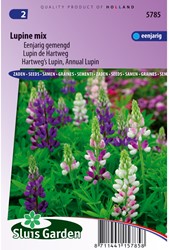 Lupine 1-jarig mix