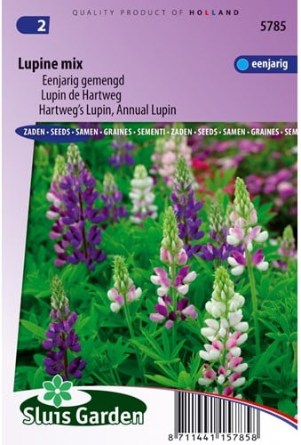 Lupine 1-jarig mix