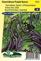 Stamslaboon Purple Queen - Phaseolus Vulgaris