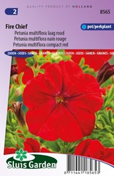 Petunia Multiflora Fire Chief Rood