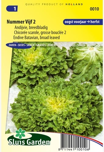 Andijvie Nummer Vijf 2