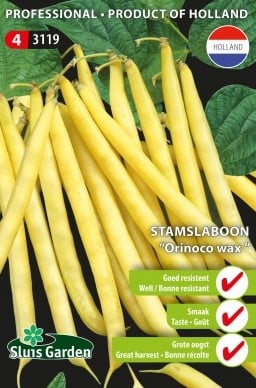 Stamslaboon Orinoco wax - Phaseolus