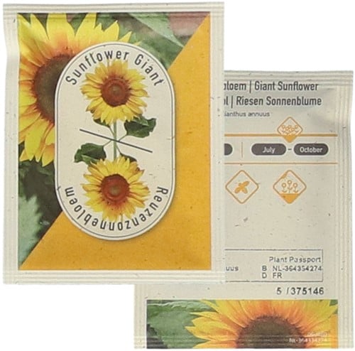 Reuzen Zonnebloem - Helianthus annuus