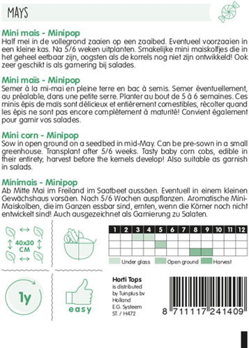 Minimais Minipop F1 - Hortitops-2