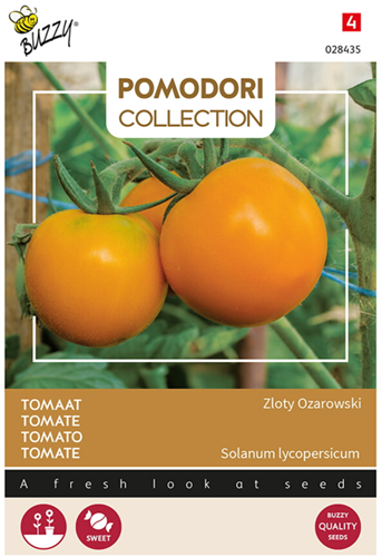 Tomaat Arancia Zloty Ozarowski - Pomodori Collection