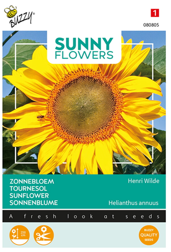 Zonnebloemen Henri Wilde - Sunny Flowers