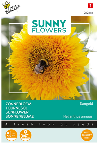 Lage Zonnebloem Sungold, dubbelbloemig - Sunny Flowers
