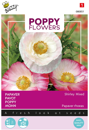 Klaproos Gemengd - Poppy Flowers