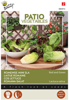 Romeinse Mini-sla Red and Green- Buzzy Patio Vegetables