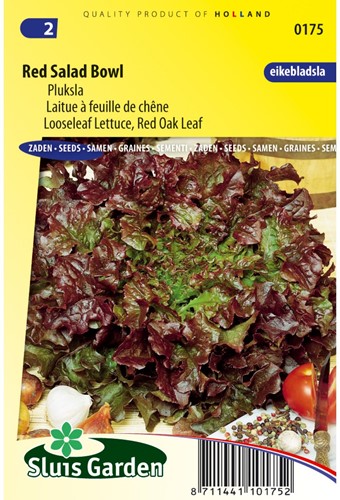 Pluksla Red Salad Bowl-2