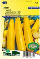 Courgette Soleil F1 - Cucurbita pepo-2