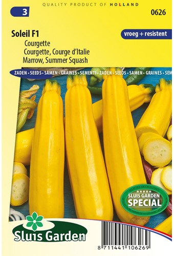 Courgette Soleil F1 - Cucurbita pepo-2