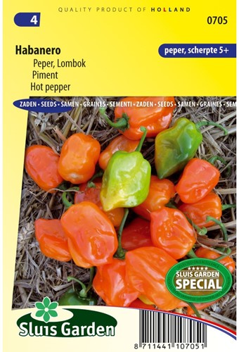 Peper Habanero - Capsicum sinense-2