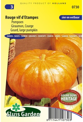 Pompoen Rouge Vif d'Etampes - Cucurbita maxima-2