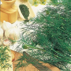 Dille Bouquet