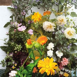 Mengsel eetbare bloemen kruiden