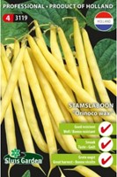 Stamslaboon Orinoco wax - Phaseolus-2