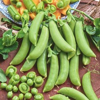Peul Sugar Snap Delikett