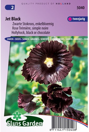 Stokroos Jet Black, enkelbloemig - Alcea rosea-2