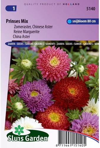 Aster Prinses Mix (Zomeraster)-2
