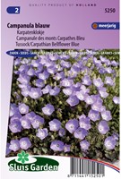 Klokjesbloem enkelbloemig Blauw - Campanula-2