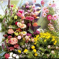 Zaadmengsel Vlinderbloemen Mix