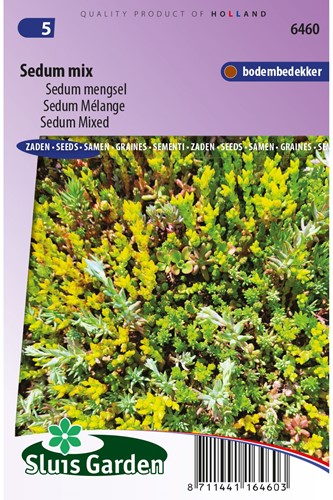 Vetkruid Mix - Sedum-2
