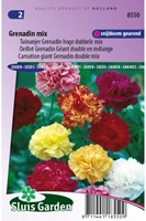 Anjer Grenadin Mix - Dianthus