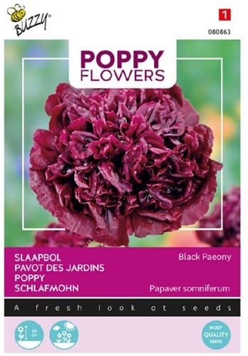 Papaver, slaapbol Black Paeony - Poppy Flowers