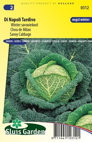 Winter savooiekool Di Napoli Tardivo