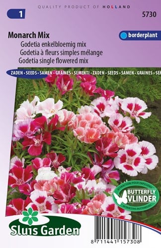 Godetia Monarch mix - Clarkia amoena