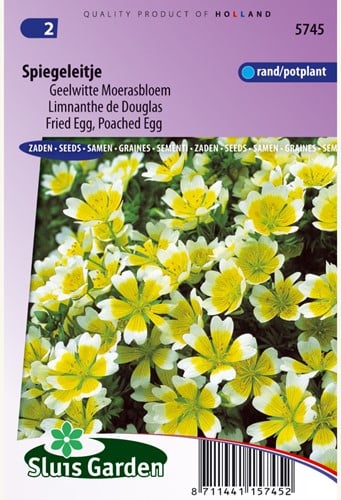 Spiegeleitje, Geelwitte Moerasbloem