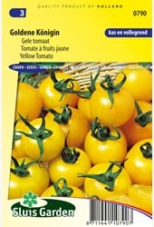 Tomaat Goldene Königin