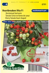 Kerstomaat Hearbreakers Vita F1