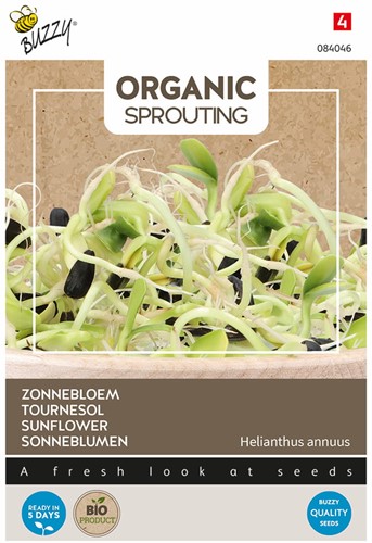 Organic Sprouting Zonnebloem BIO – Helianthus annuus