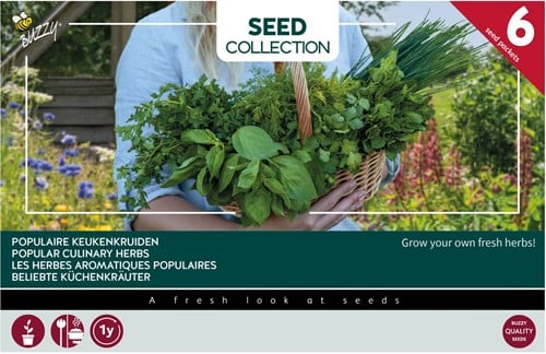 6 Kruiden voor in potten - Buzzy Collection