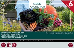 6 Groentetuin voor de starter – Buzzy Collection