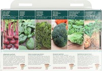 Collectie 6 Zelfgekweekte superfoods! – Buzzy Collection-3