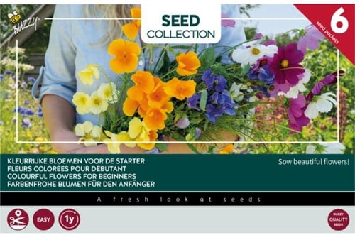Collectie 6 Kleurrijke bloemen voor de starter – Buzzy Collection