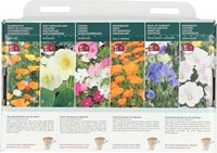 Collectie 6 Kleurrijke bloemen voor de starter – Buzzy Collection-3