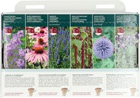 6 Vrolijke Bij- en vlinderbloemen – Buzzy Collection-3