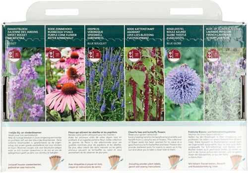 6 Vrolijke Bij- en vlinderbloemen – Buzzy Collection-3