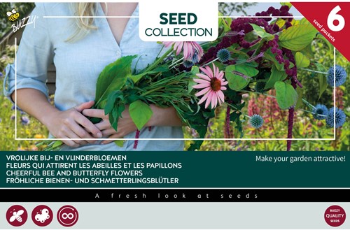 6 Vrolijke Bij- en vlinderbloemen – Buzzy Collection