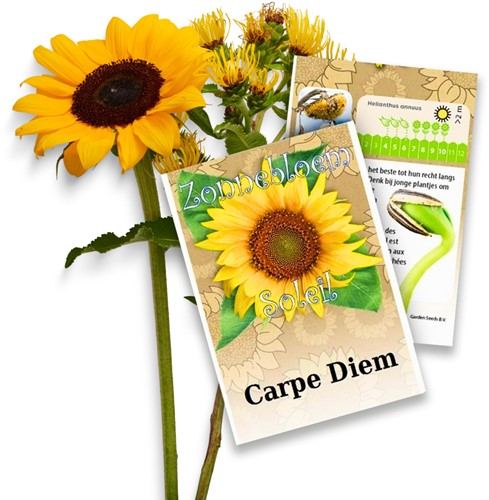Zonnebloem zakjes persoonlijk bedrukt - 20 stuks
