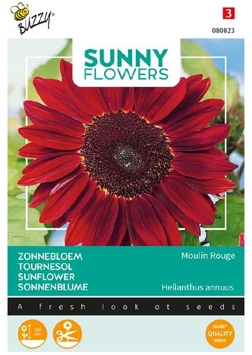 Zonnebloem Moulin Rouge – Sunny Flowers