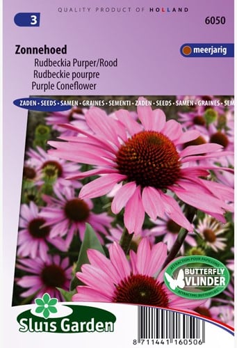Zonnehoed purpurea - Echinacea